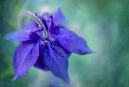 日本漫画无彩翼漫画 日本漫画无彩翼漫画