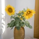 色老拉视频天天看 43z300