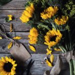 免费播放日本一区在线 4zs8cwyte