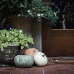 日本漫画大全乌全彩漫 5wc145