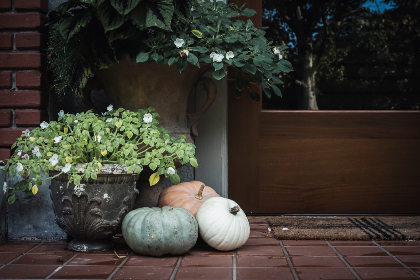 日本漫画大全乌全彩漫 日本漫画大全乌全彩漫