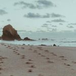 日本三级在线线观看 ayxq0ux7b