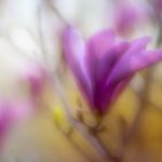 成年黄页网站大全免费 eenr4636p