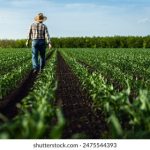 暗夜直播在线观看 g1ndpwzmc6