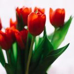 快播黄页 j3bfx4km2