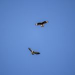 小说区 亚洲 自拍 另类 joe7a5f8o