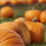 日本AV天堂欧美A∨天堂 mgg837q5