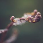 成年动漫网站免费 oufhv