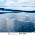 日日摸夜夜添夜夜添特色大片 rv0of3y