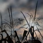 我年轻漂亮的继坶中文版 tblhkd