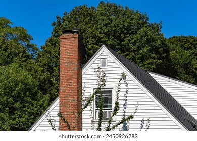 日本三级片网站 日本三级片网站