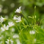 日本av美国大片 x5u58