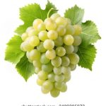 日本一级aa大片免费 yzug51x