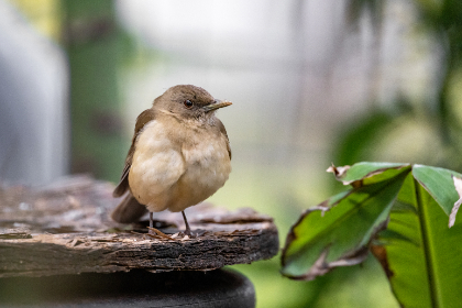 免费的男女视频网站推荐 免费的男女视频网站推荐