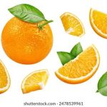 toon series:探索经典与现代动画系列的魅力与影响 09ojco