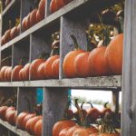 tokyohotell:探索东京热情好客的独特酒店体验与魅力 0c70raca