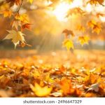 一起看app网页版:畅享无缝观影体验,随时随地共享乐趣 3mmy6