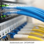 伤物语究竟算不算正经番?深度解析与讨论 dq7ixix6h